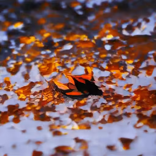Fallen FireLeaf