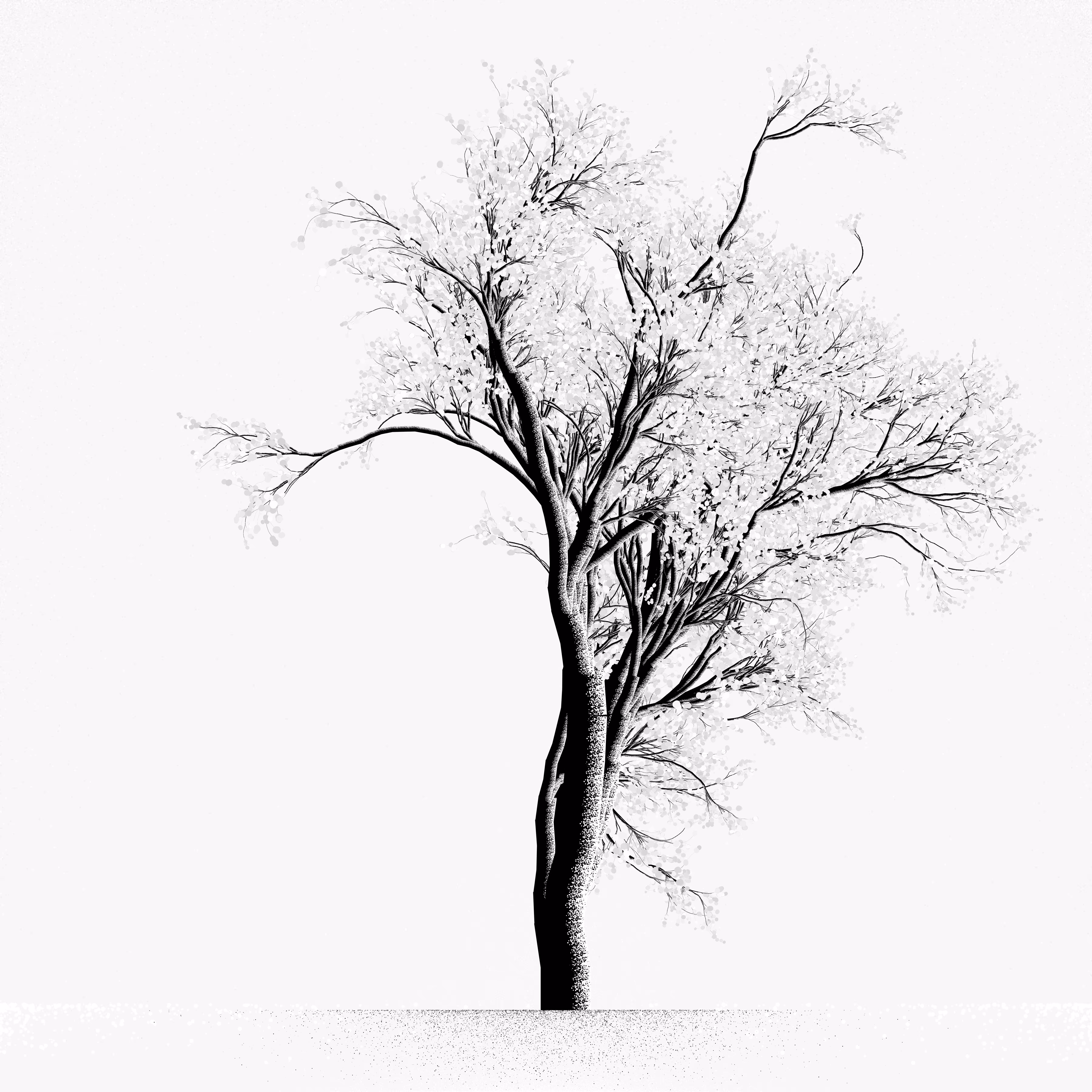 Snow Tree #47