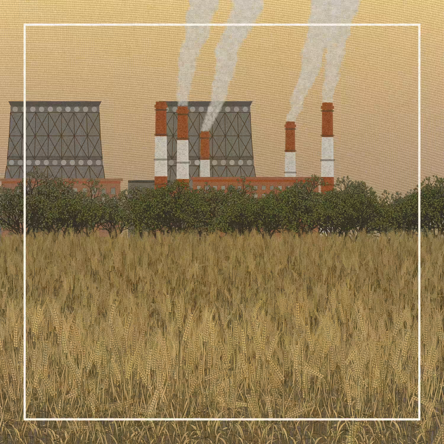 Fields of the Abandoned Homeland #79