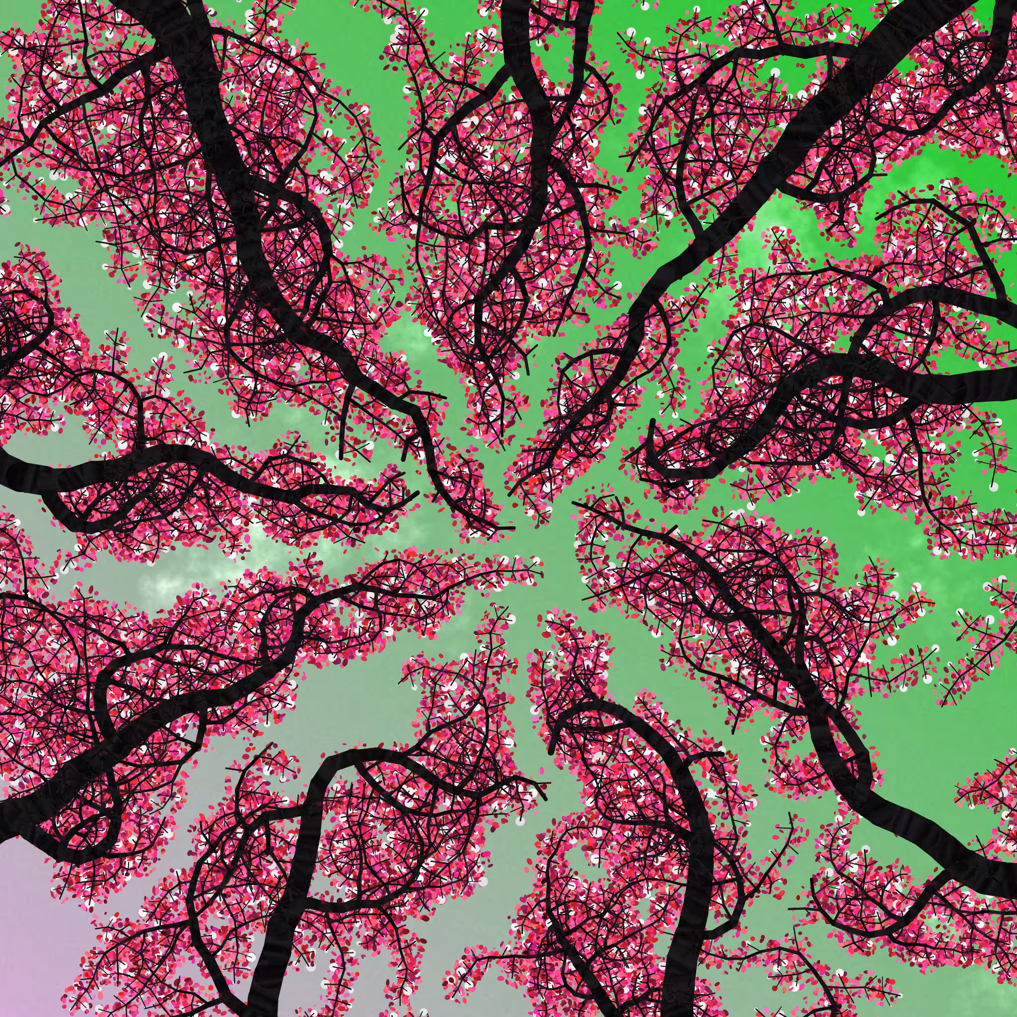 Tree Skyness #242