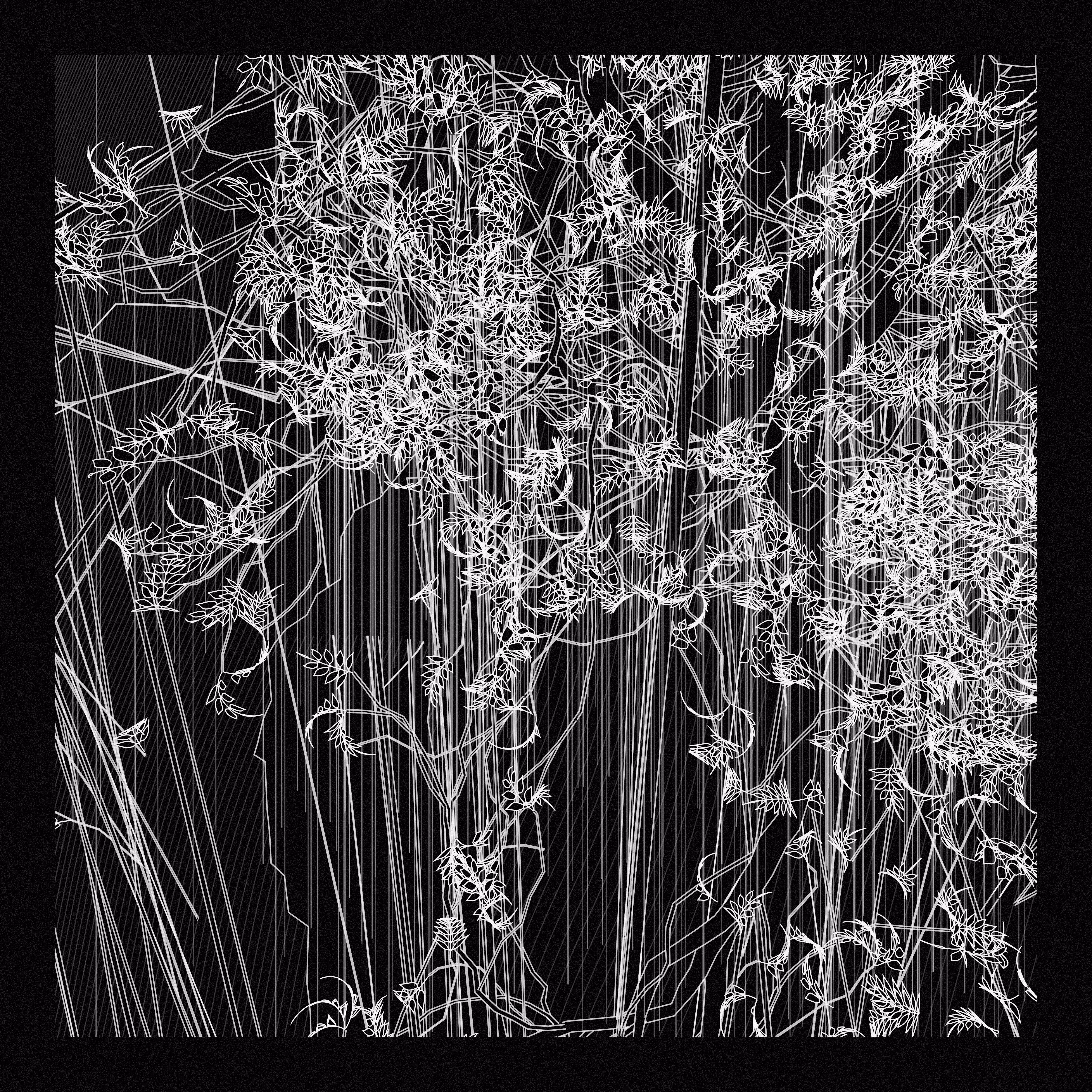 A Bugged Forest #930