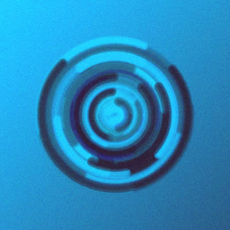Wisp #951