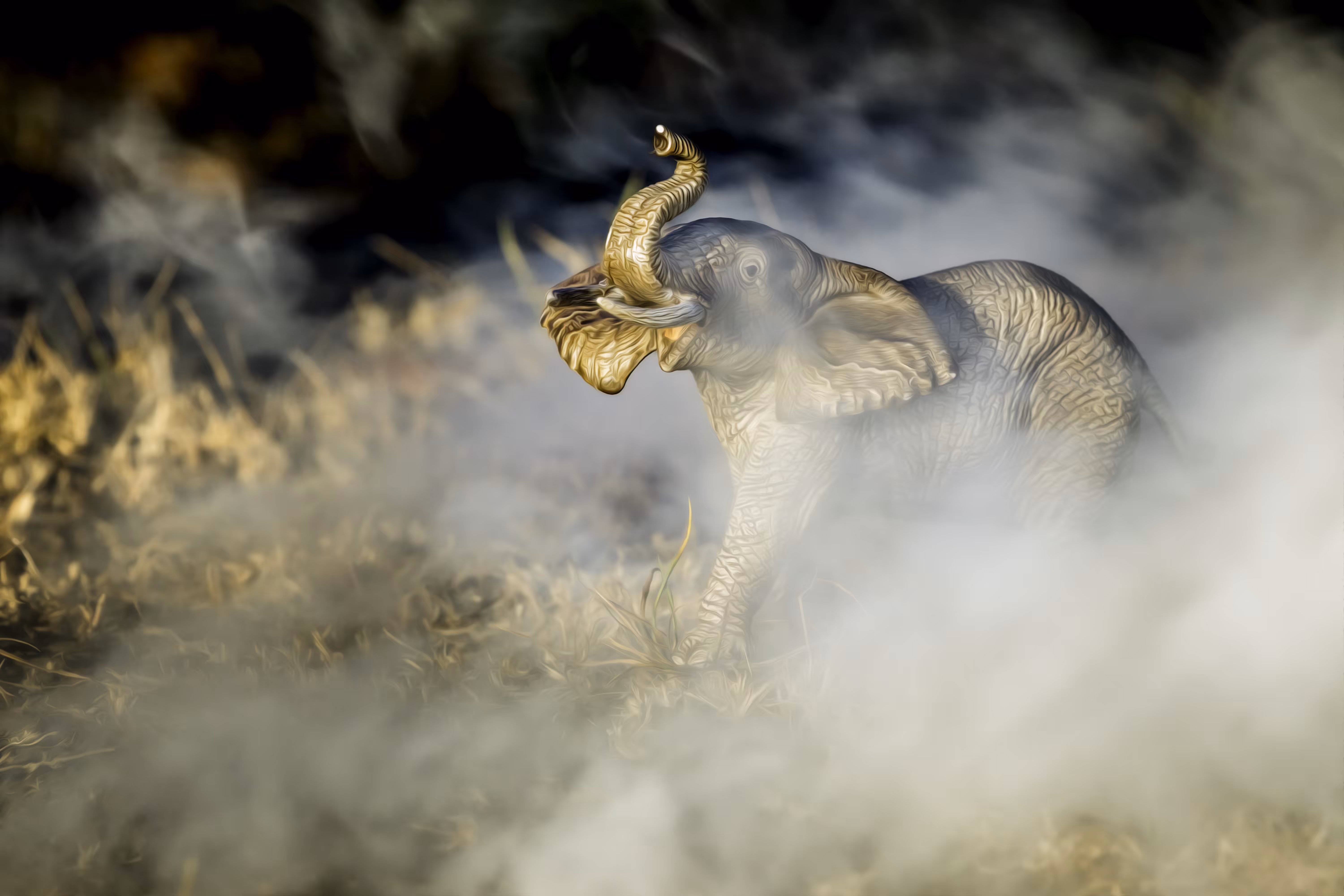 Brush Fire