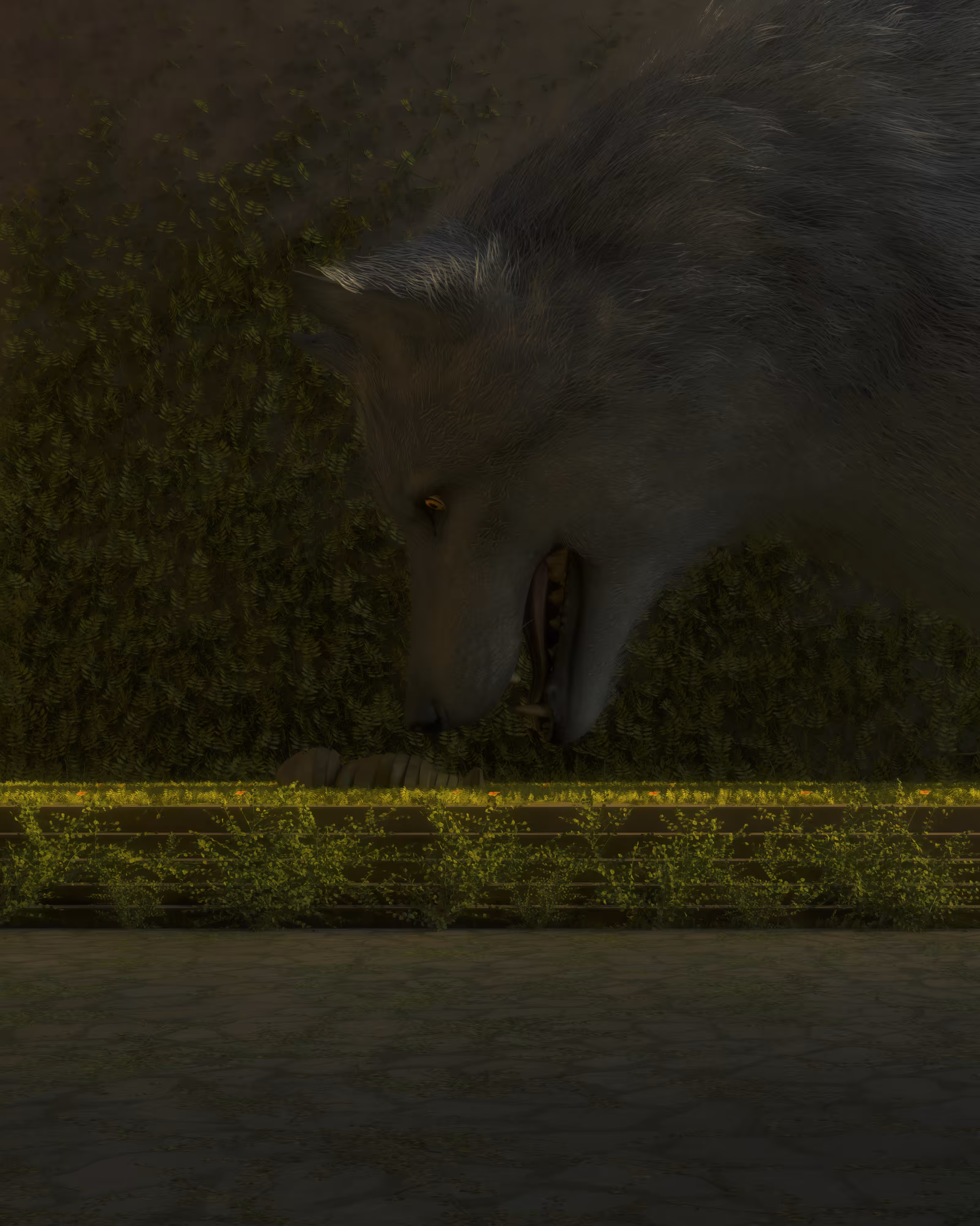 Between Two Days: The Wolf's Whisper