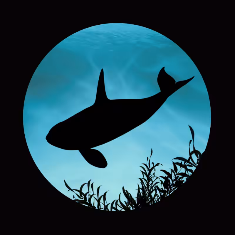 Whale #1