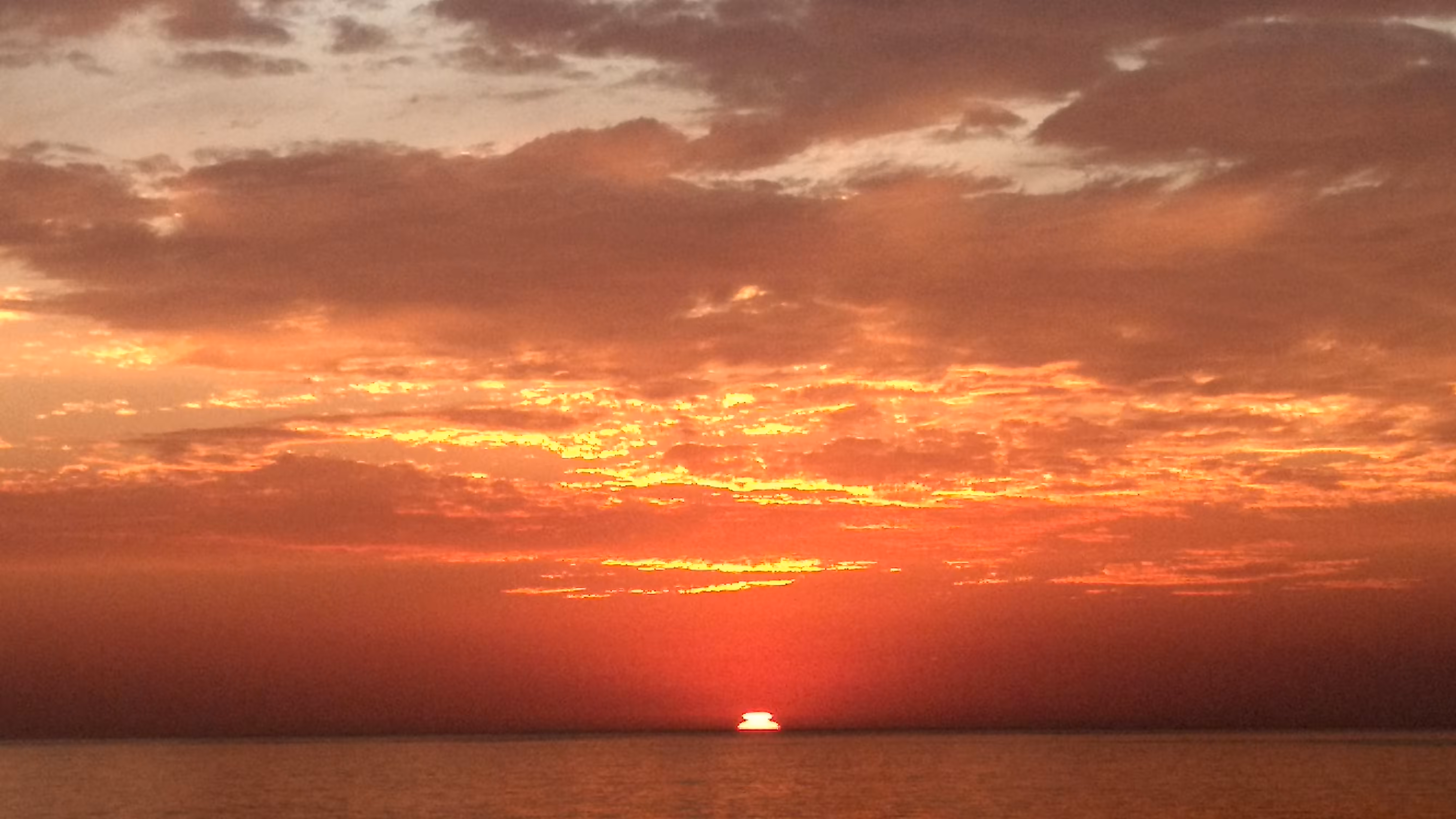 A Shade of Orange