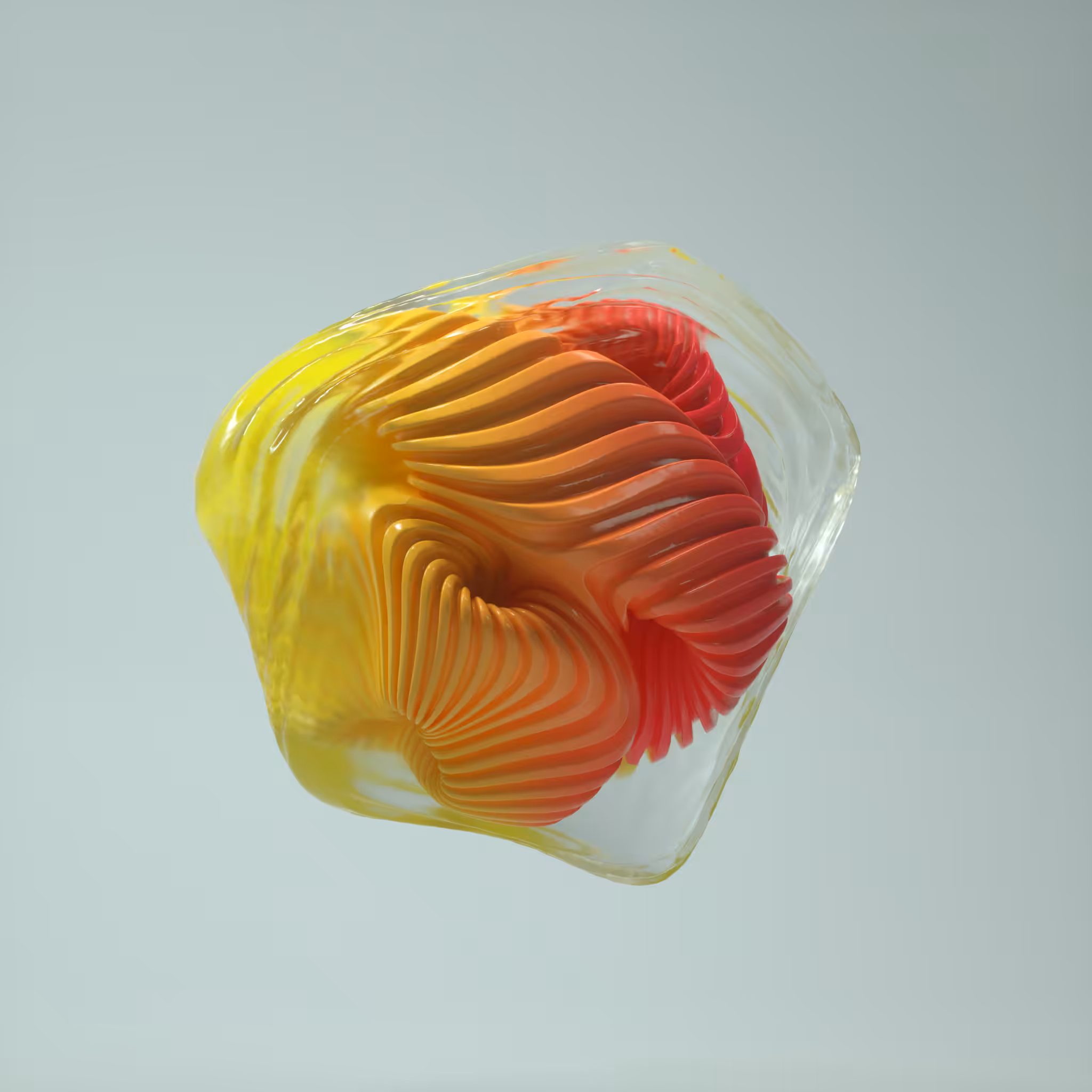 Shapes & Wraps - 05