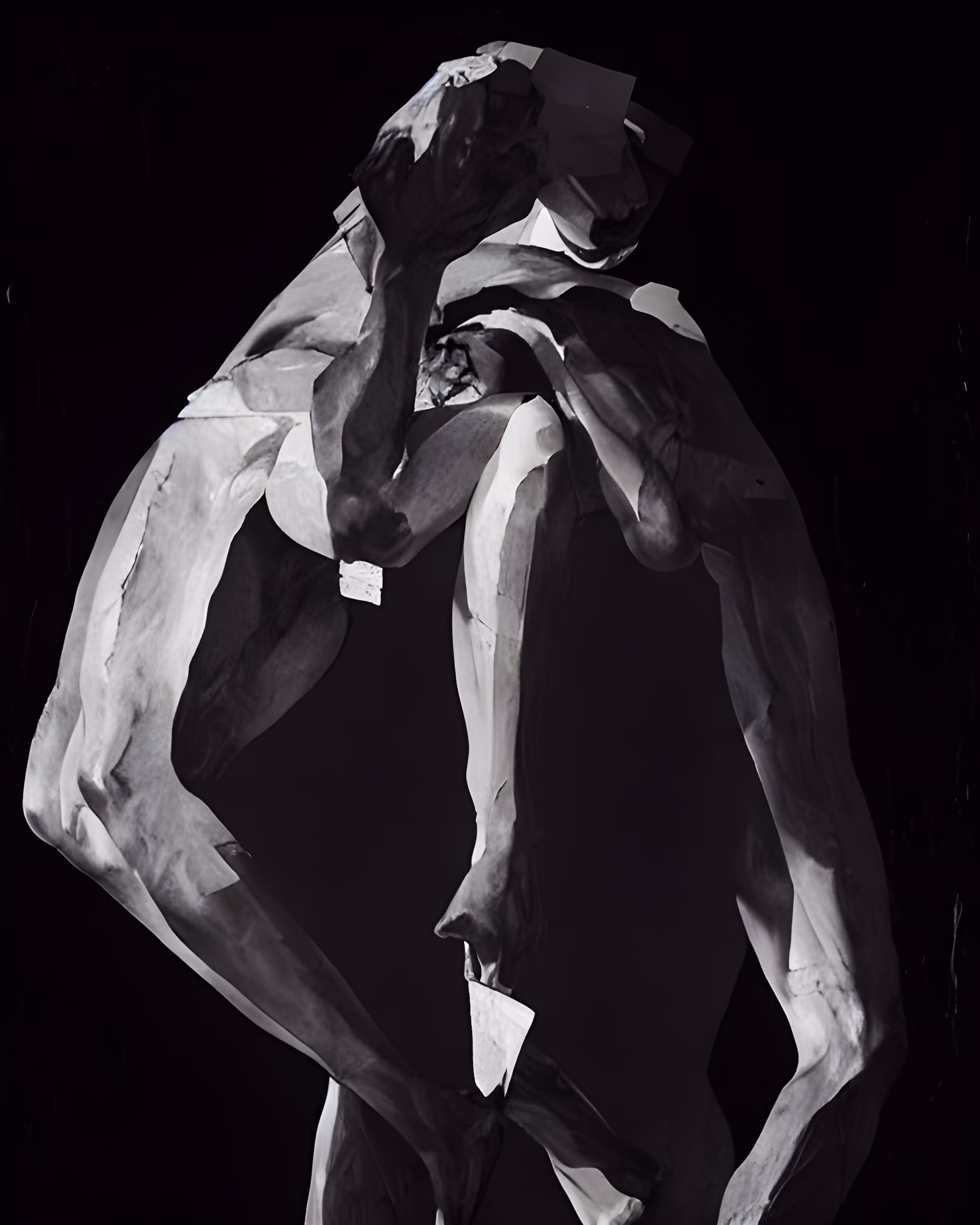 silhouette nocturne