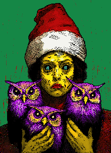 Three Wise Owls' Christmas