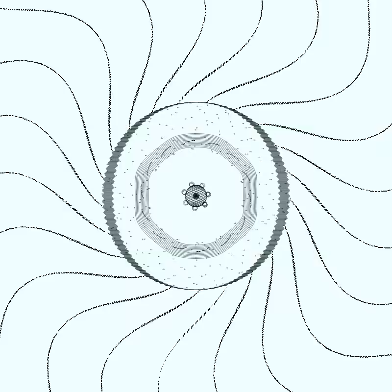 Diatom #1