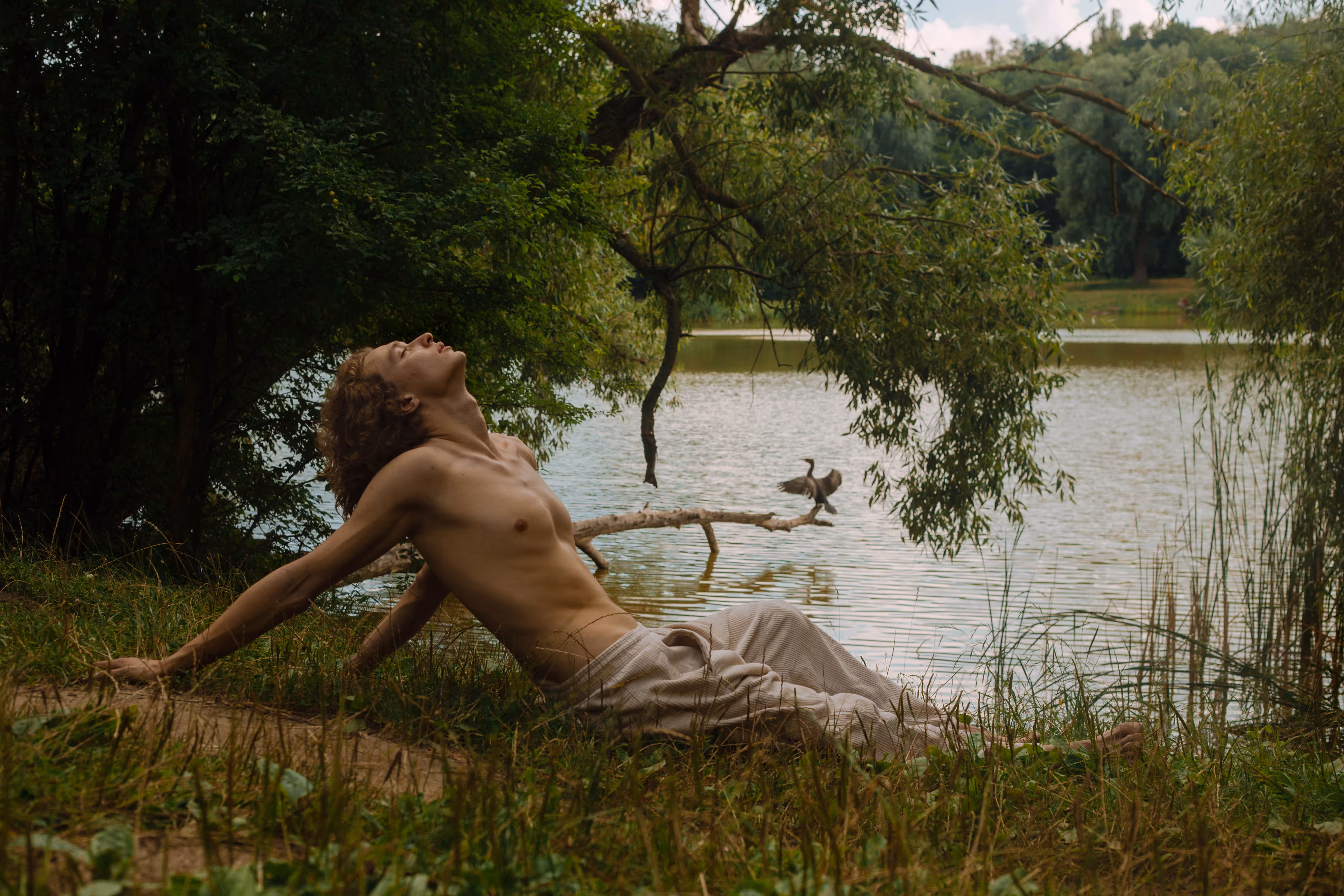 Libre