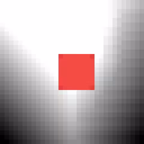Red Square December Study 2020