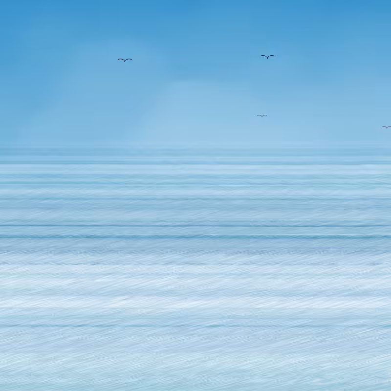 along the shore line #23