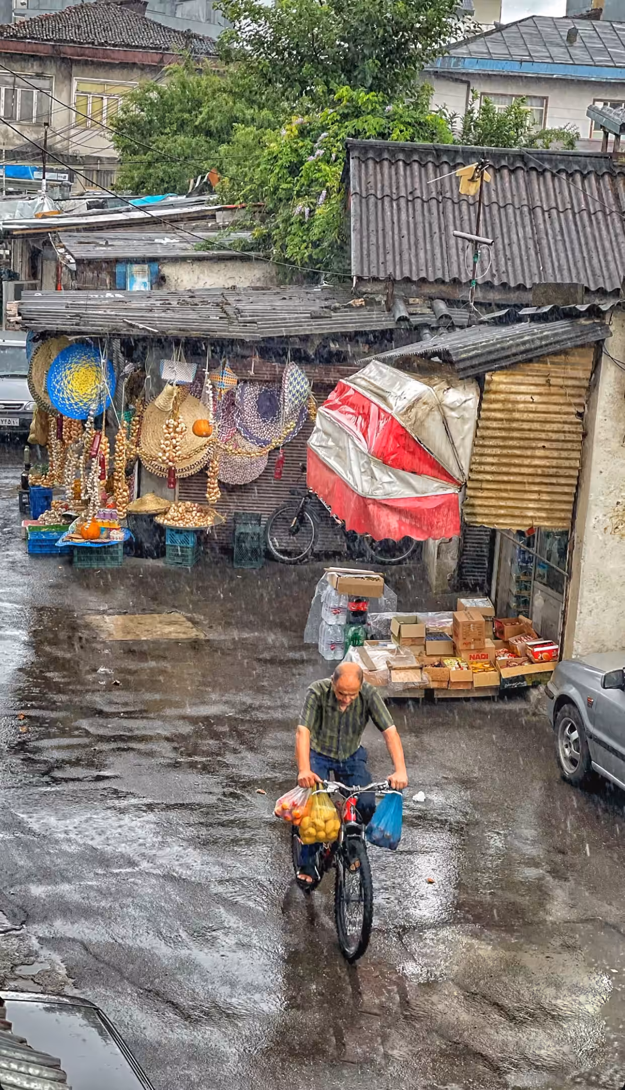 Rain, the Witness of Life
