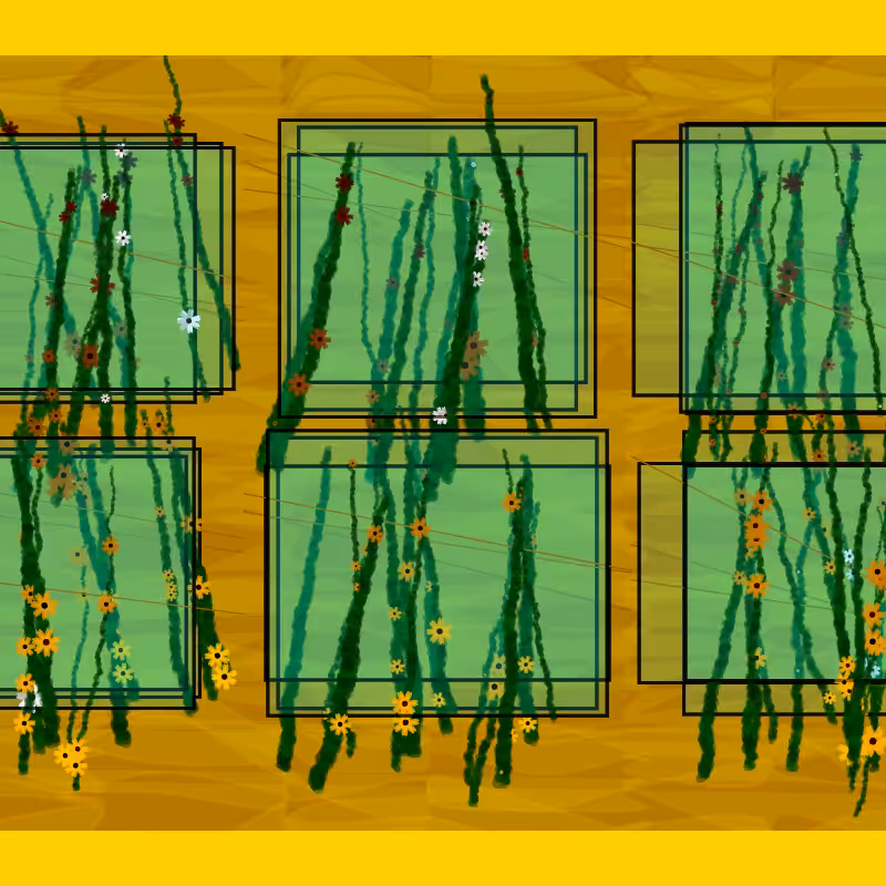 Flower Boxes #8