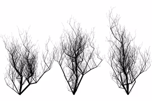 Three dead trees