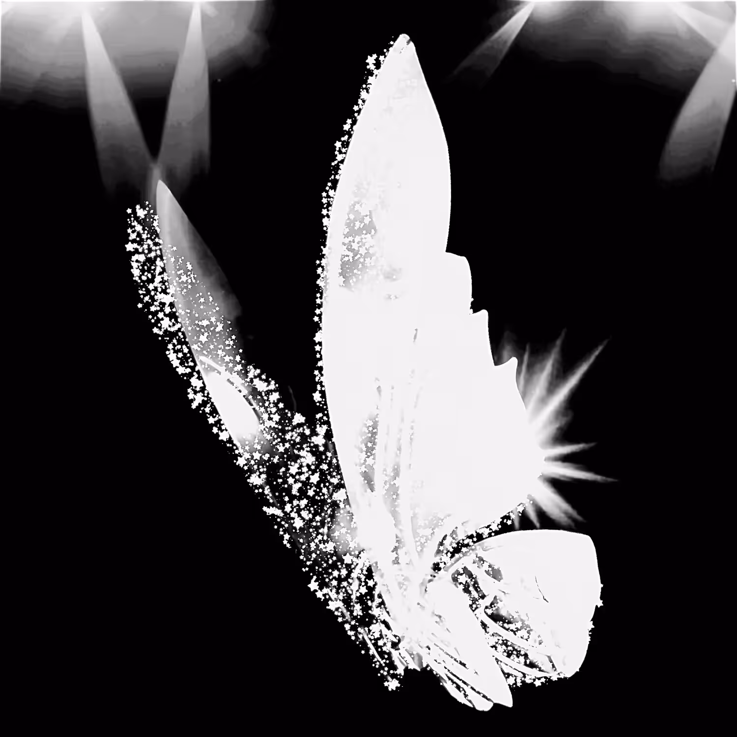Diamond Butterfly