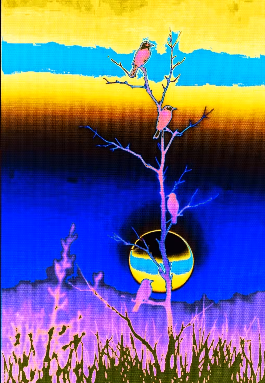 Sparrow Branch