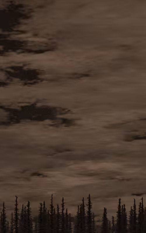 Secunda #118