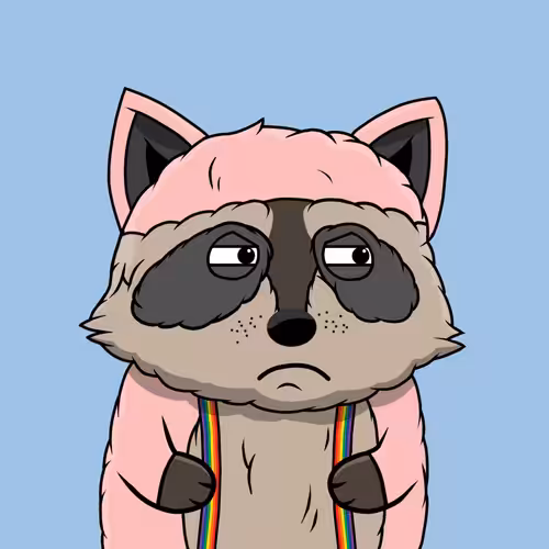 Raccoon #41