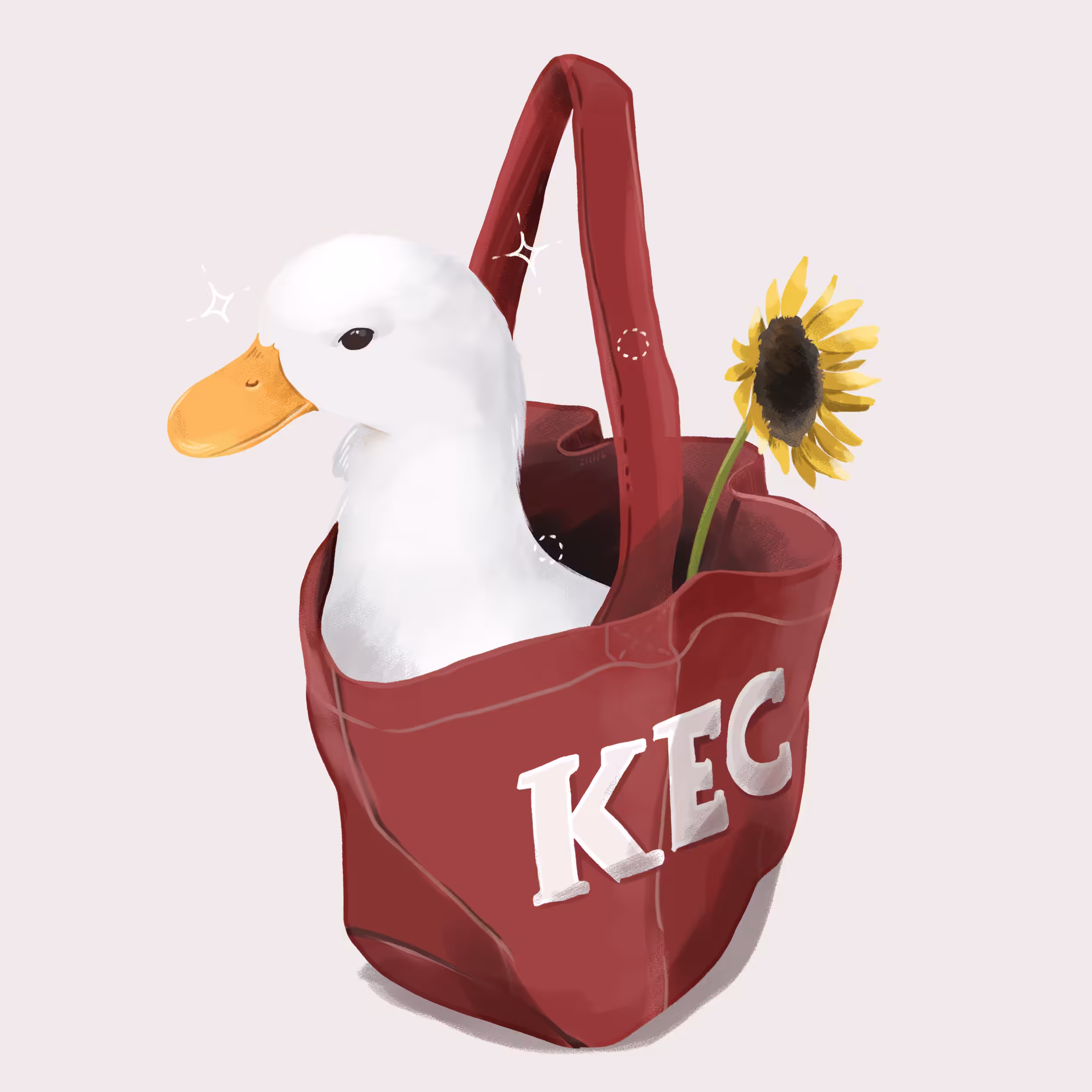 Duck in a bag