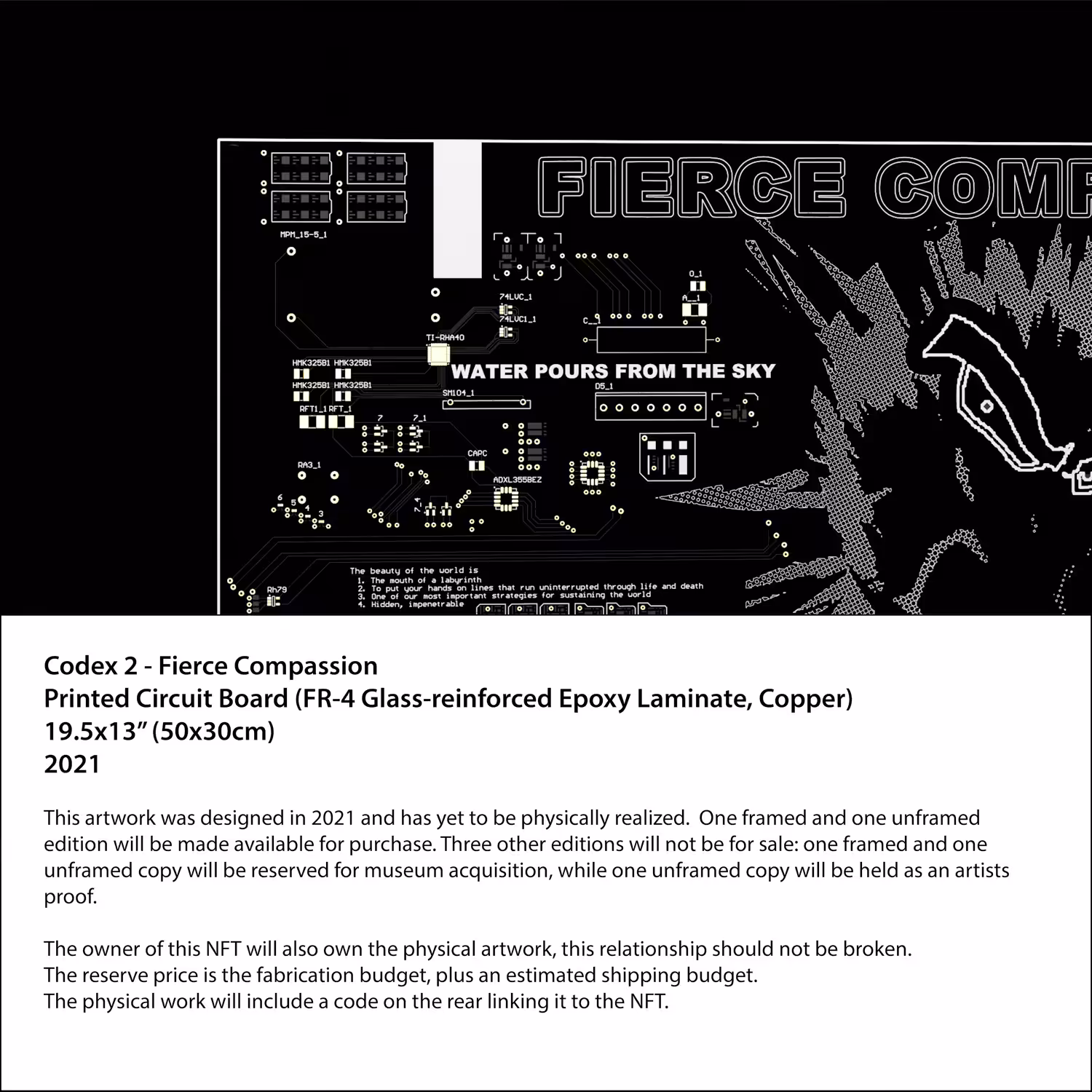 Codex 2 - Fierce Compassion (Unframed)