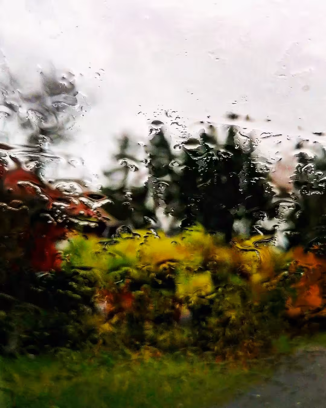 Rain Painting #0012
