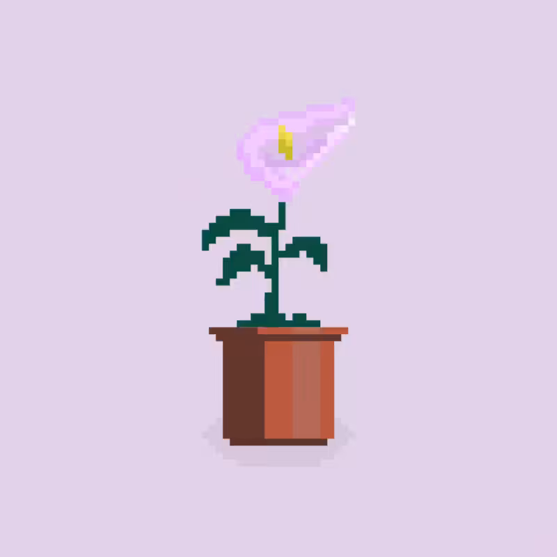 Nothing But Flowers #9