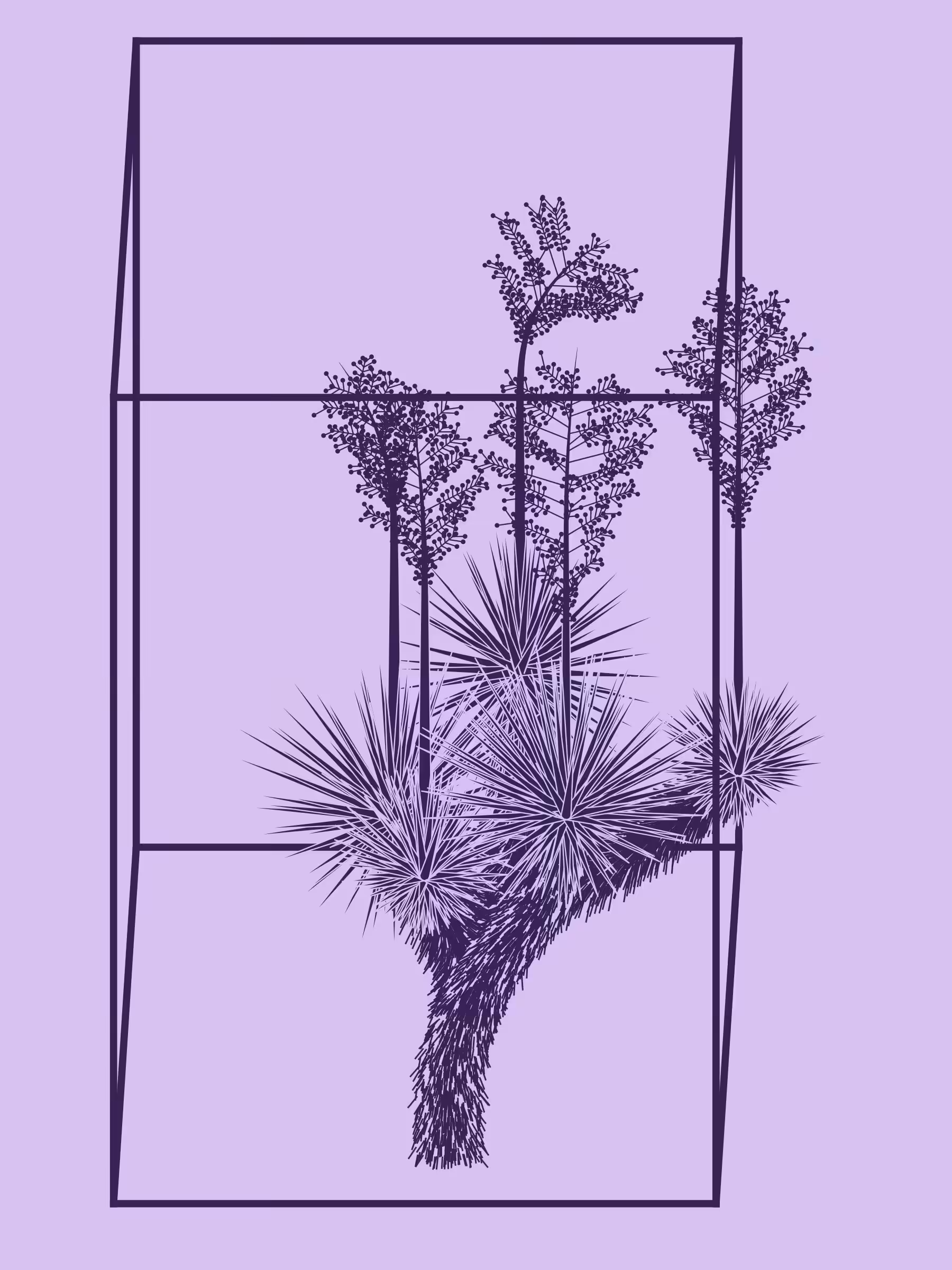 Marfa Yucca #213