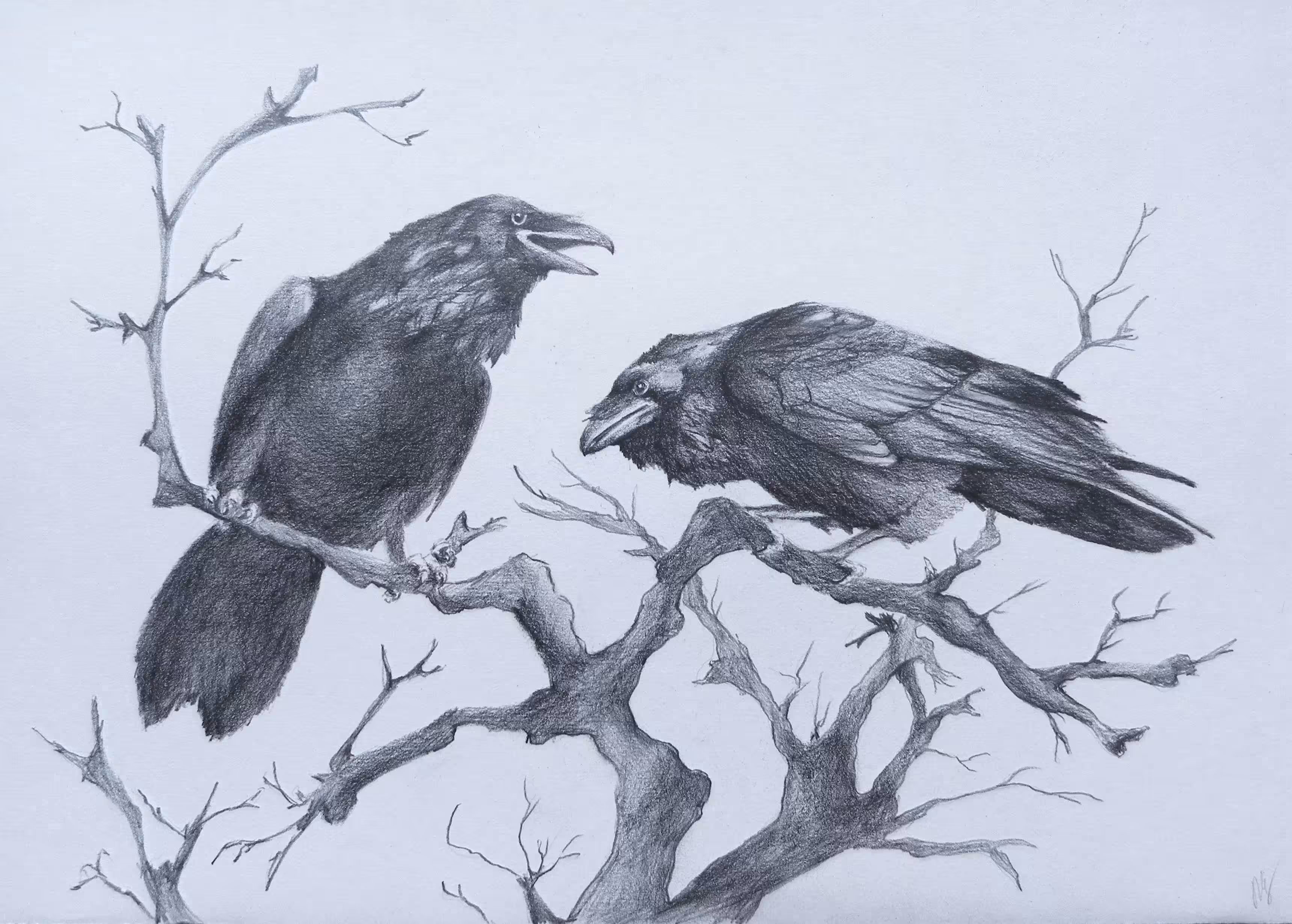 Hugin and Munin