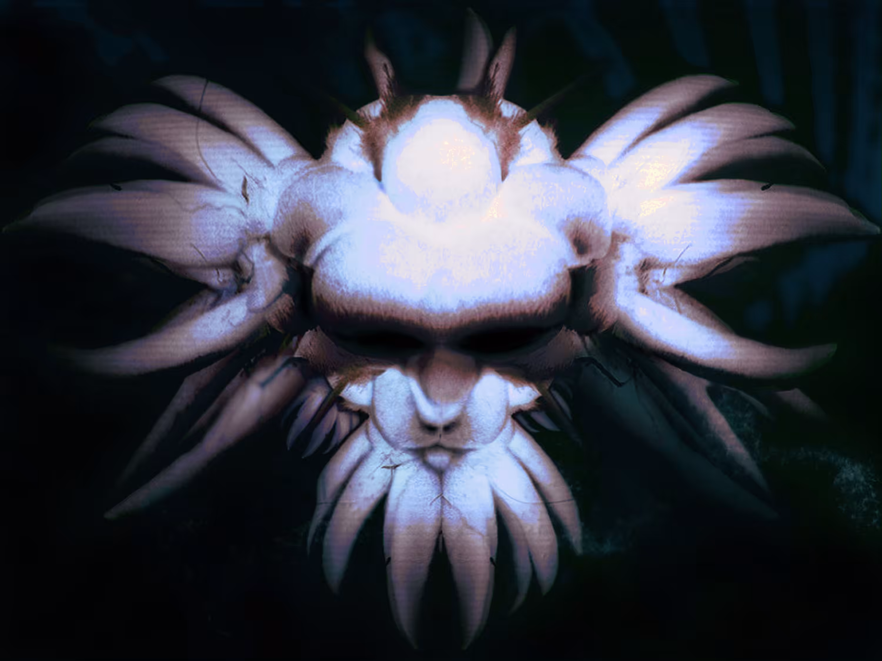Orchidee (2nd edition)