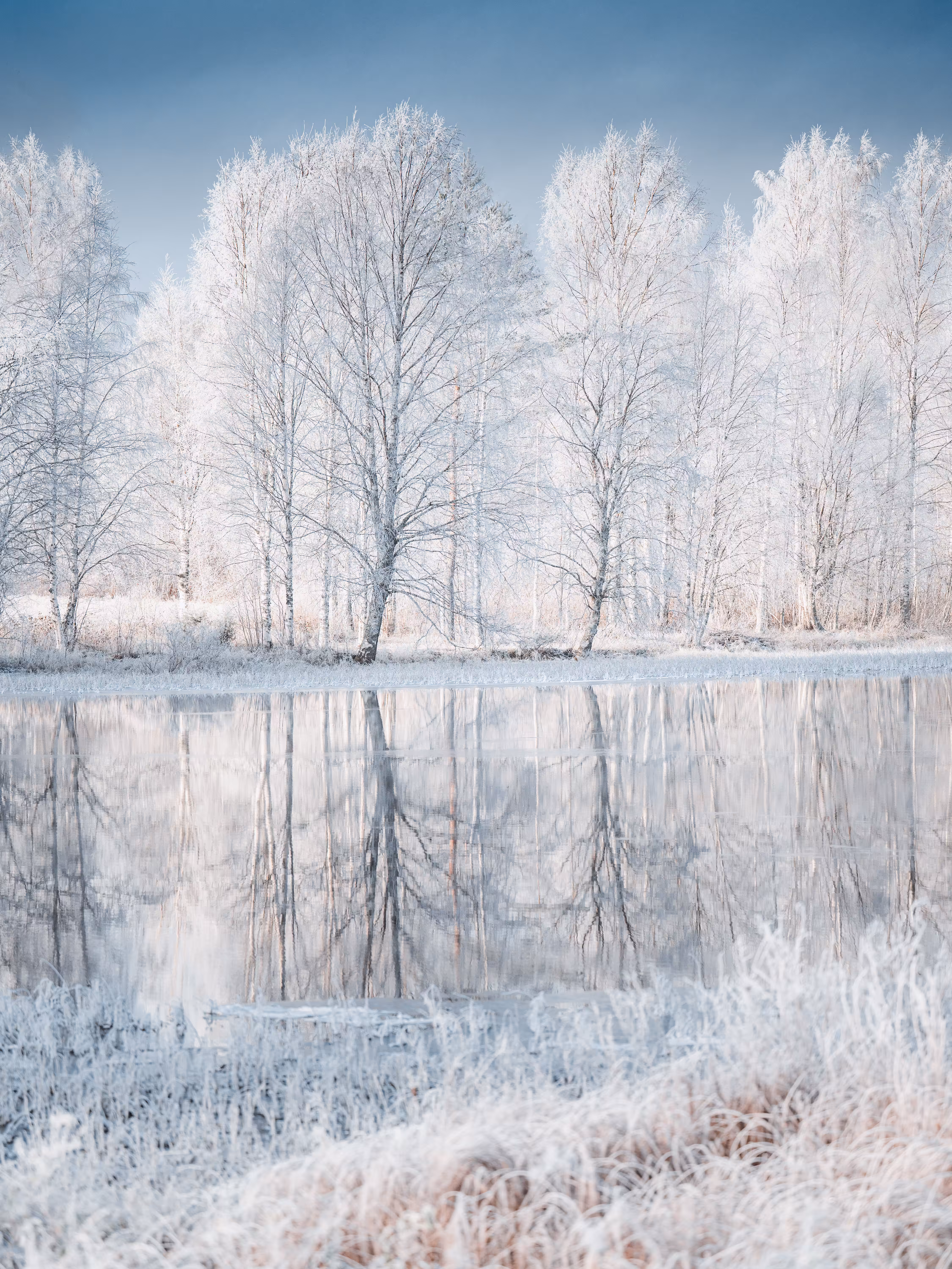 Winter's Embrace