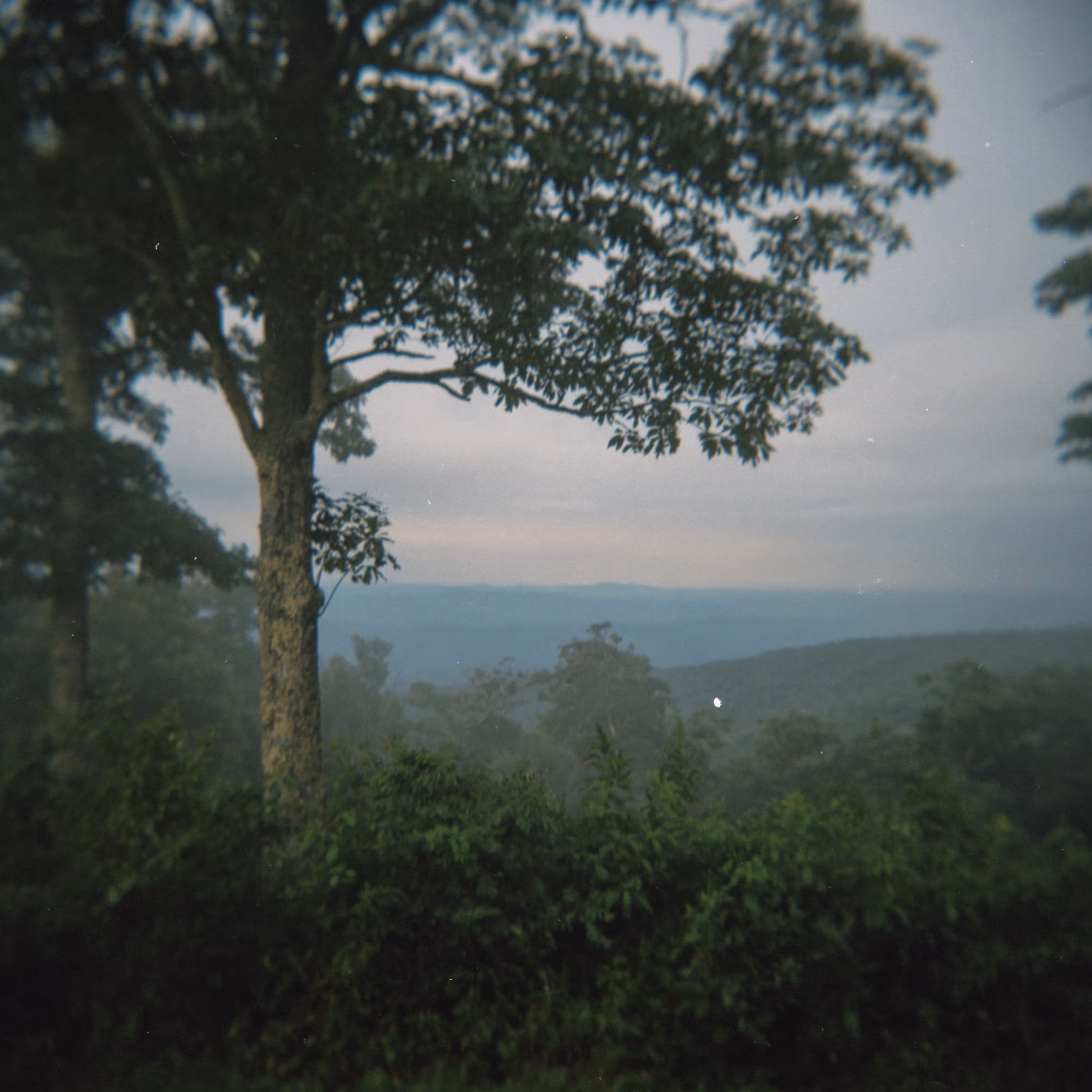 Shot on Holga #17: Window to the Hills