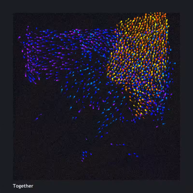 Together #7