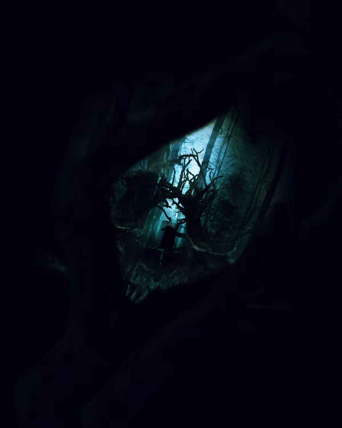 INSOMNIA 