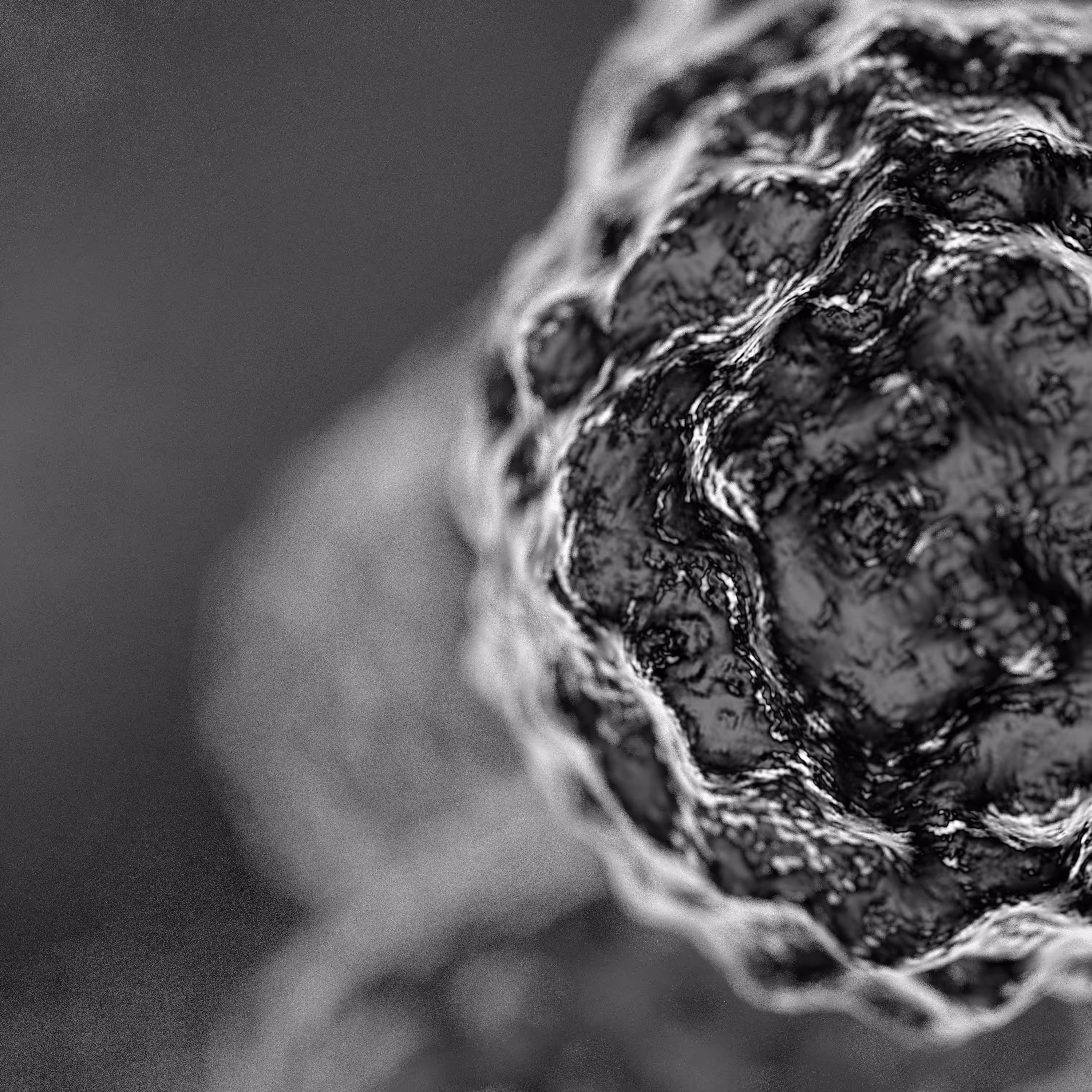 Microplanets #1