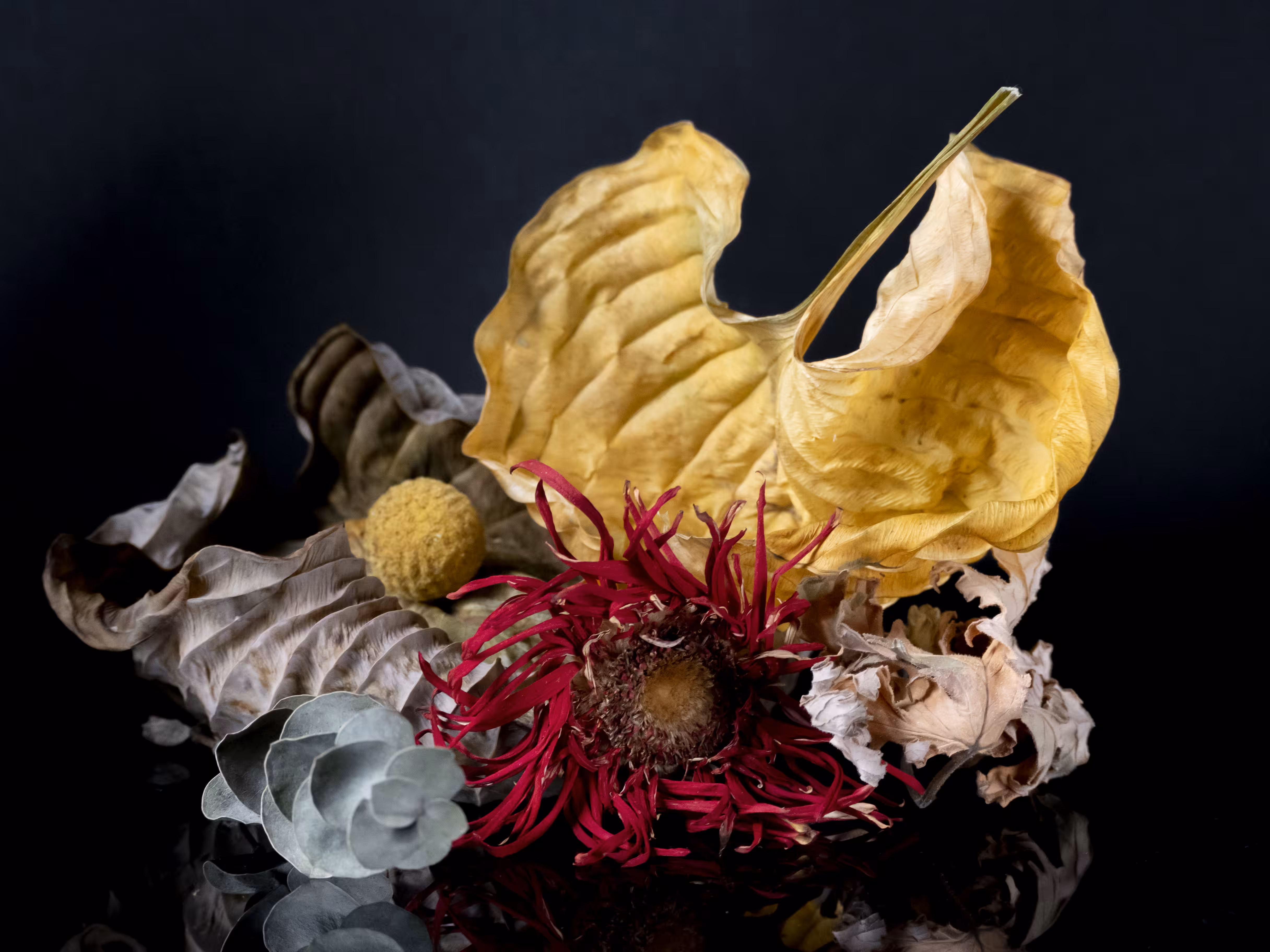 Adieux (Flowers and Leaves)