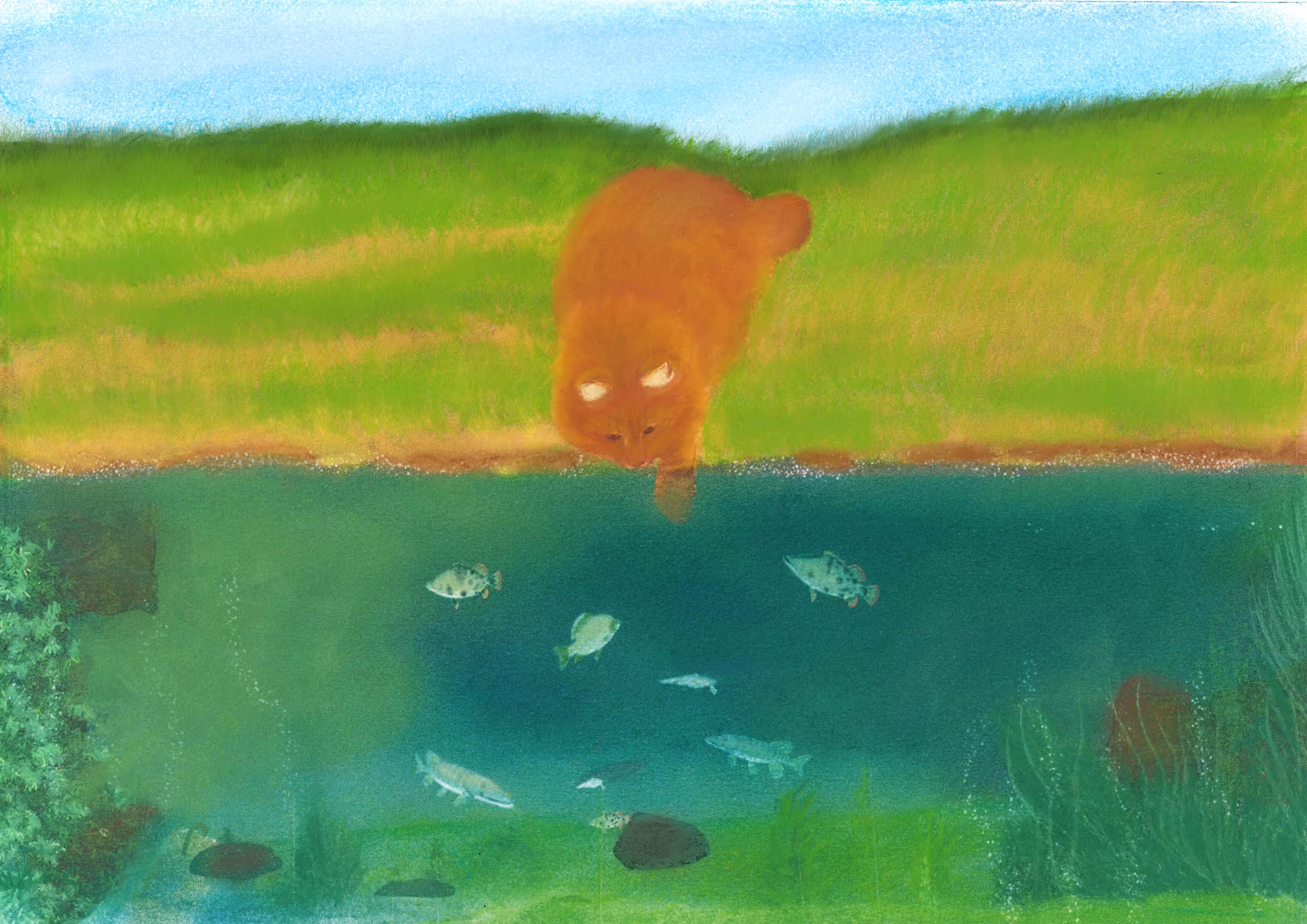  Curiosity 