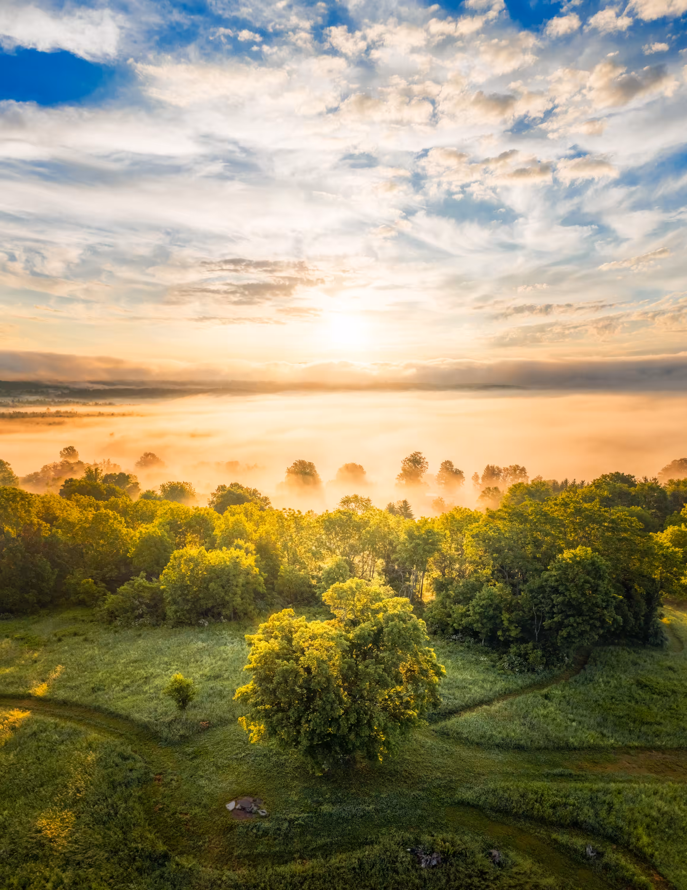 Sea of Fog