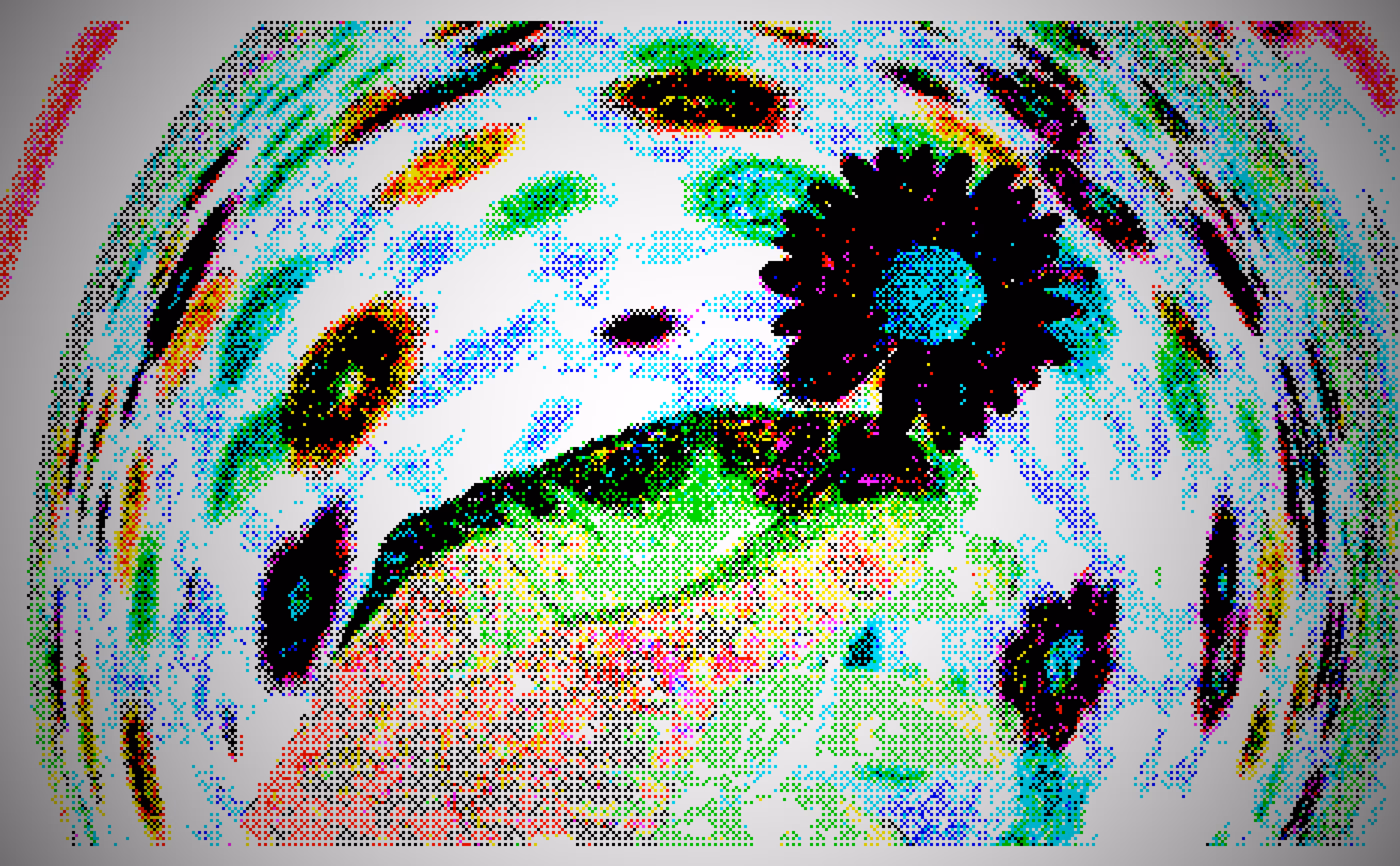 I see you in the flowers