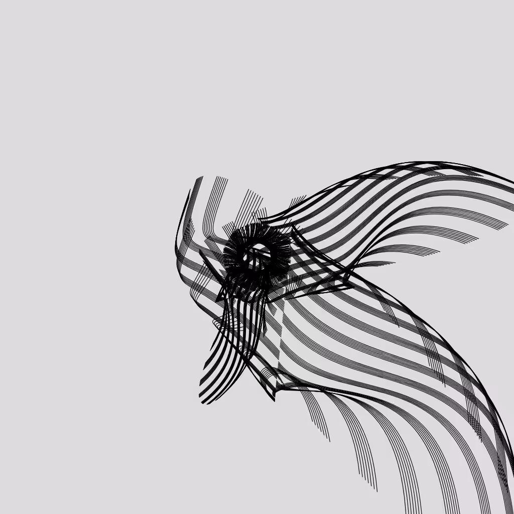 ANATOMY of a rabbit but bird #24