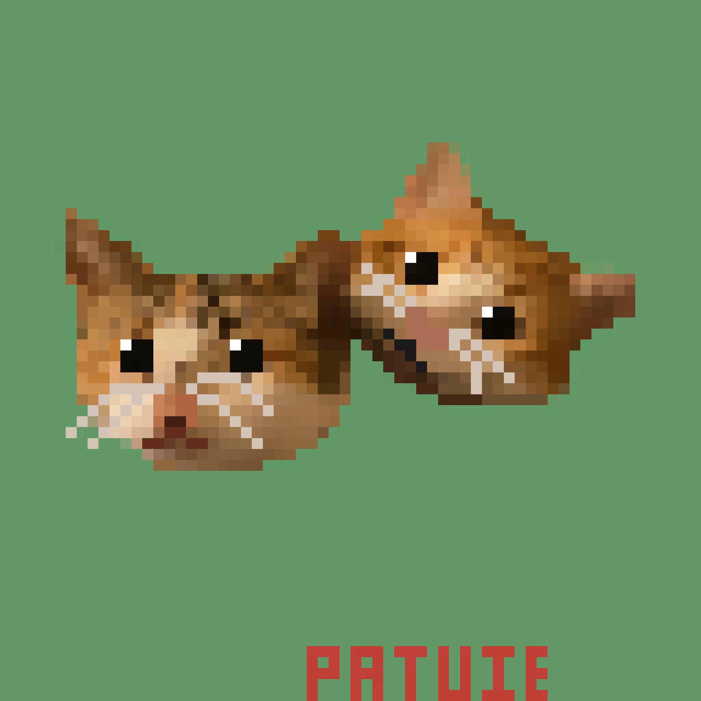 006 PATUIE