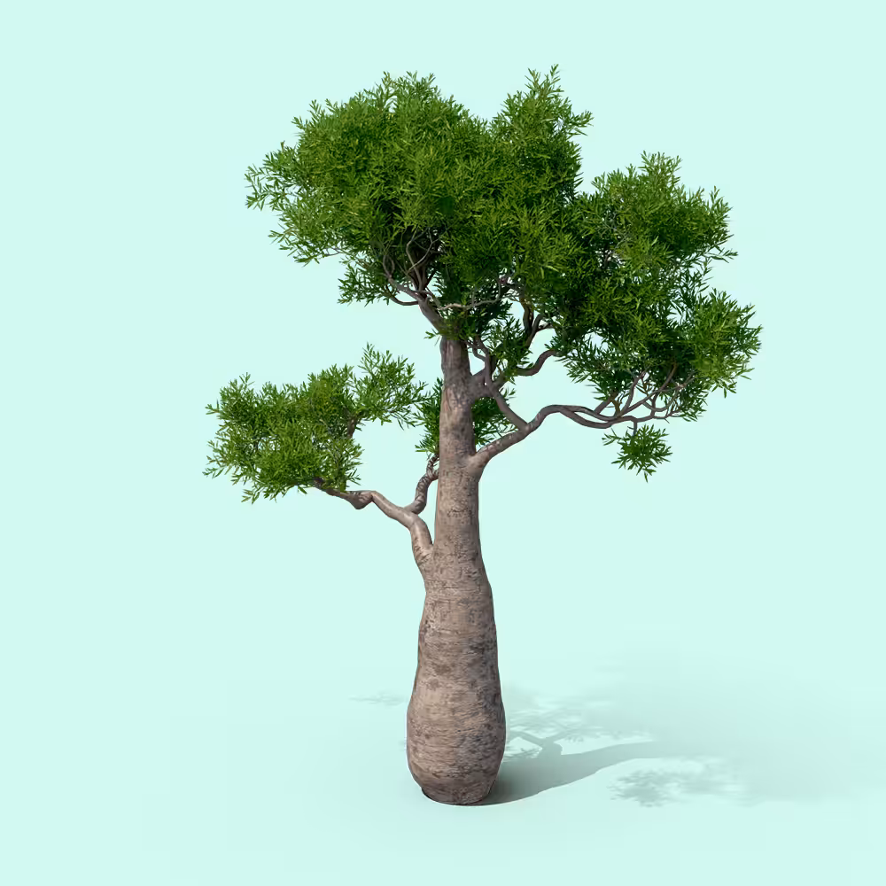 Plant More Trees 