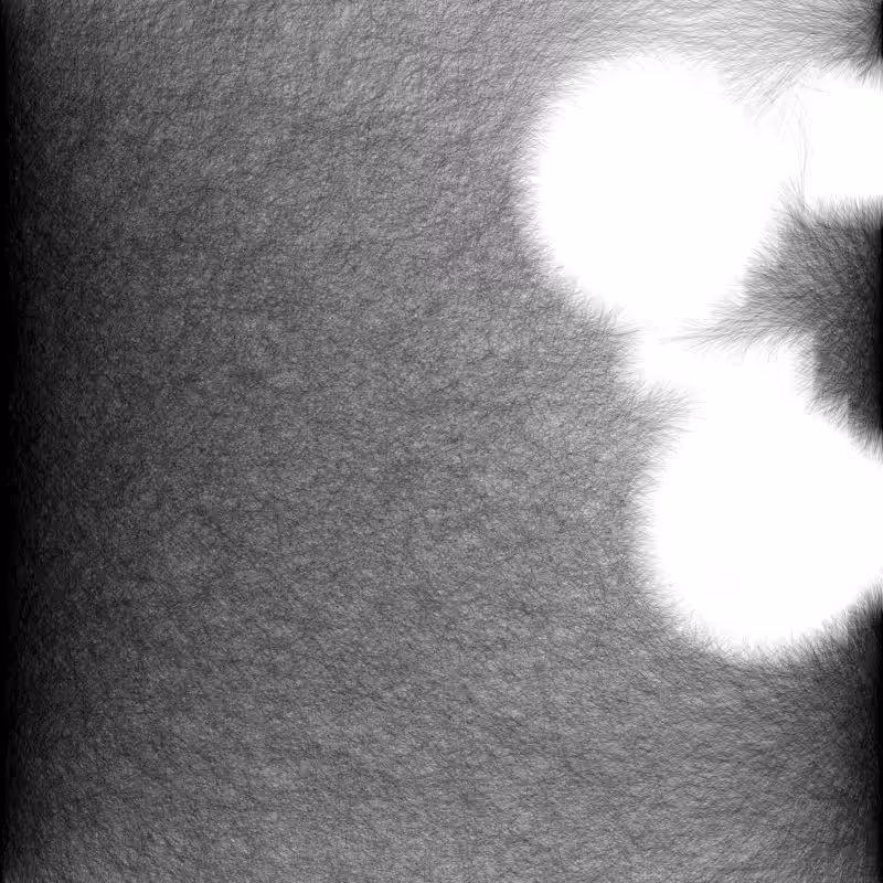 Umbra #191