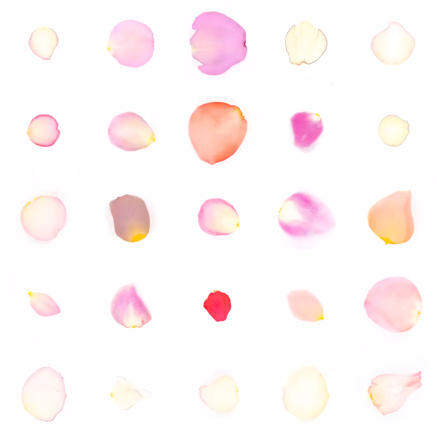 Infinite Petals 5x5#20491