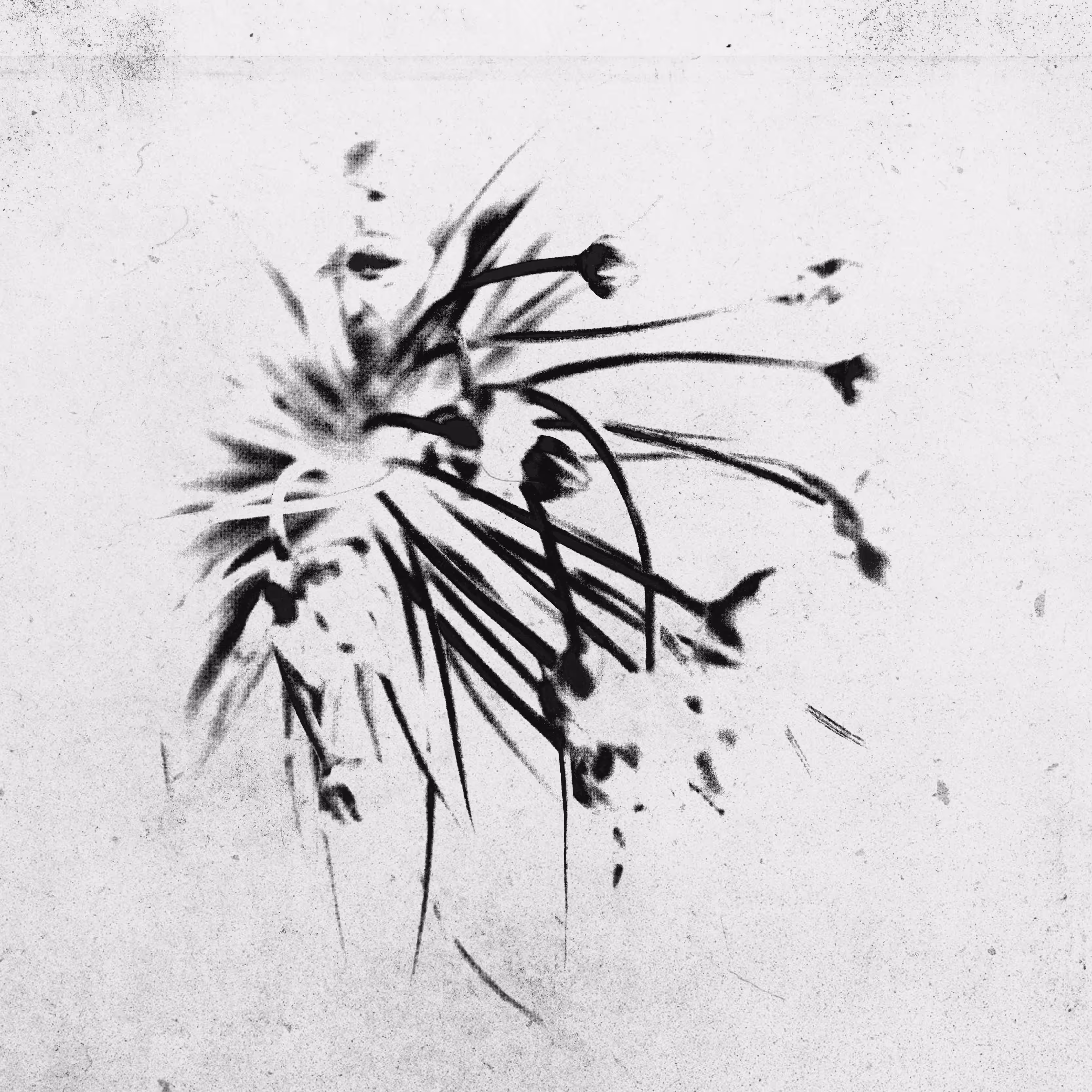 the sketch