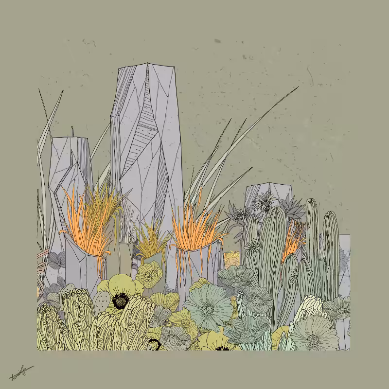 Garden of Lines #Rocks_Blooms #15