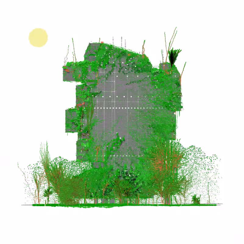 NS2: GROWTH #62