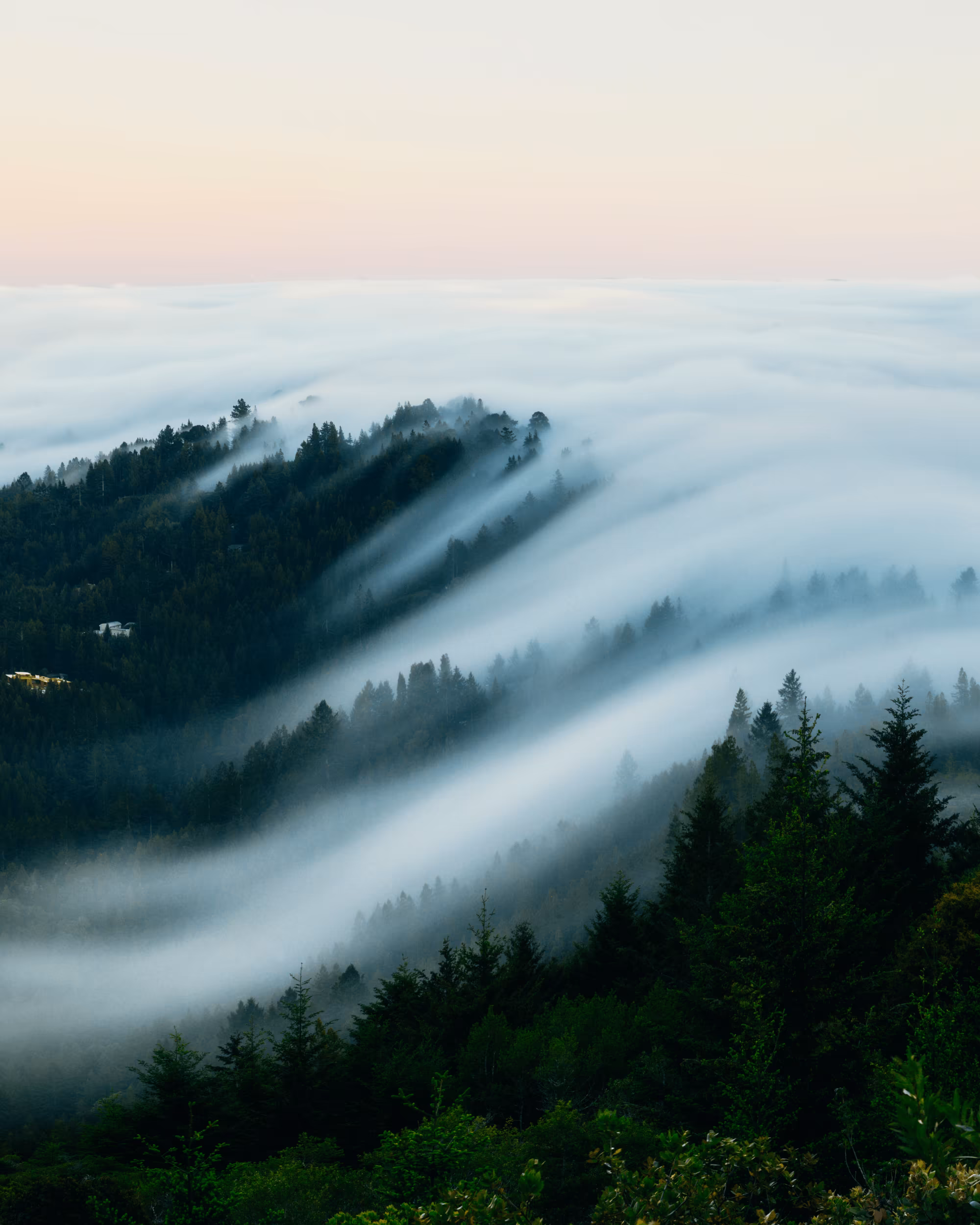 A Symphony of Fog #25