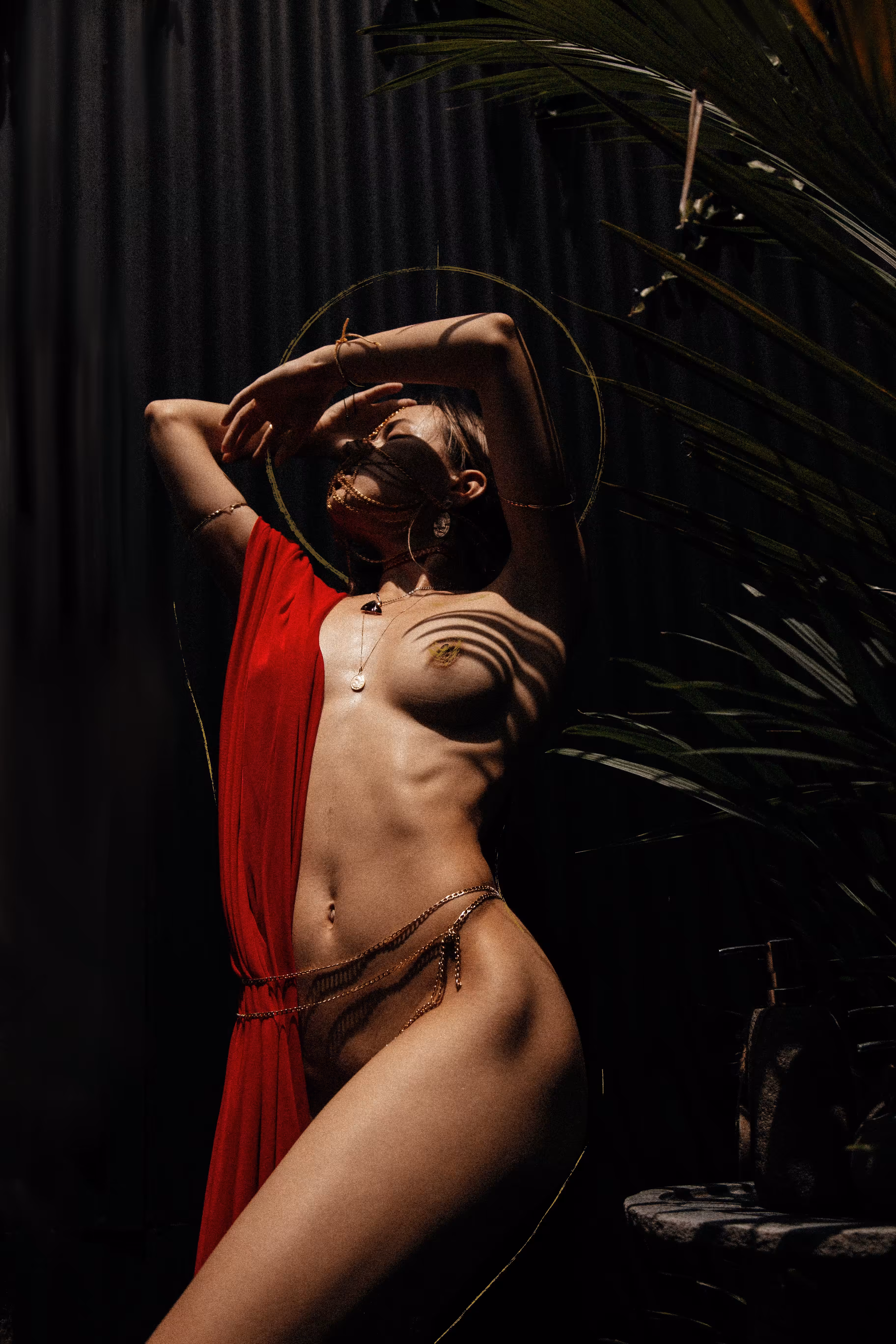 tropic harmony 3
